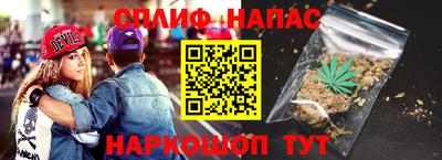 шишки Славгород