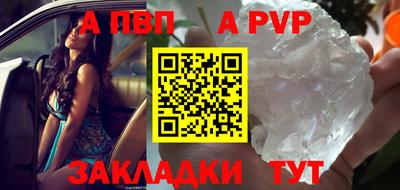 шишки Славгород