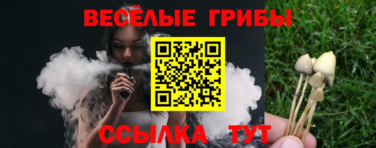 Псилоцибиновые грибы Psilocybine cubensis Россошь